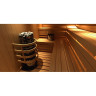 Электрическая печь SAWO ARIES (18 кВт, выносной пульт, нержавейка) ARI6-180NS-P